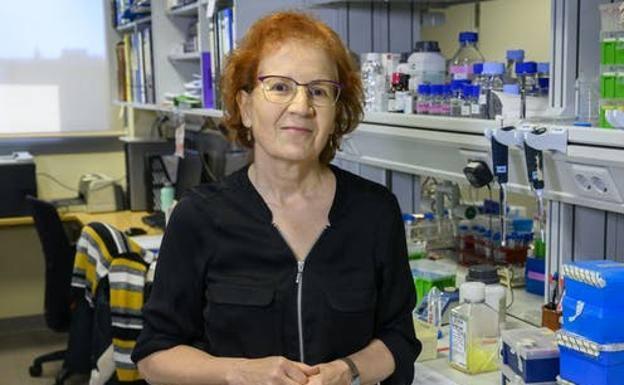 Margarita del Val asegura que la inmunidad de las vacunas «pueden durar bastantes años»