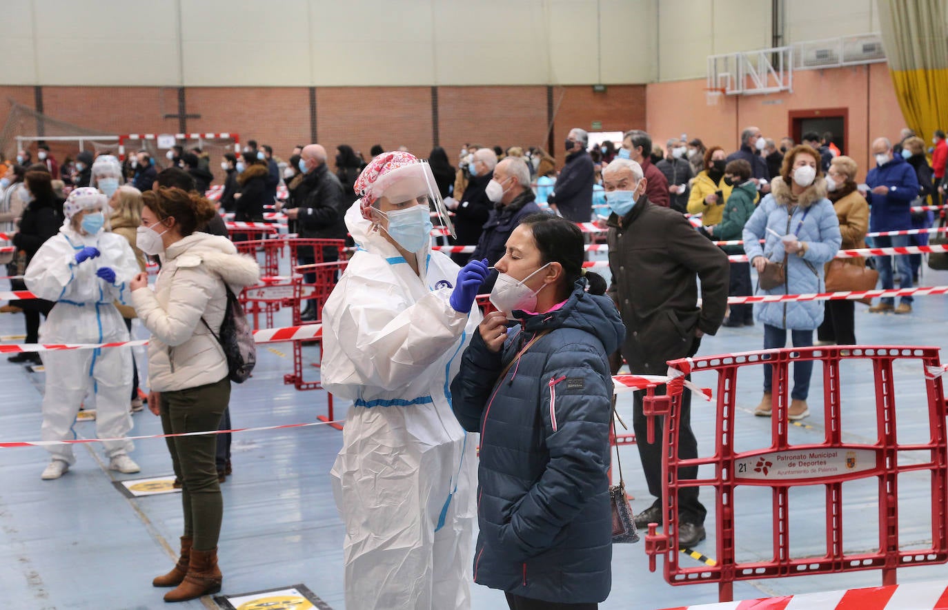 Largas colas durante la primera jornada de test de antígenos en Palencia. 