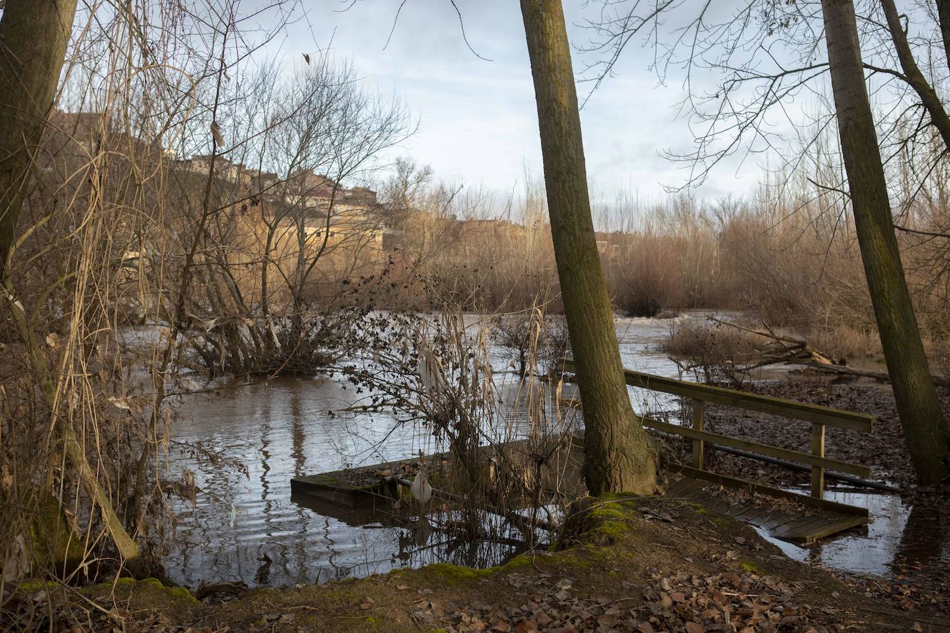 Fotos: Crecida del río Pisuerga en Valladolid y la provincia