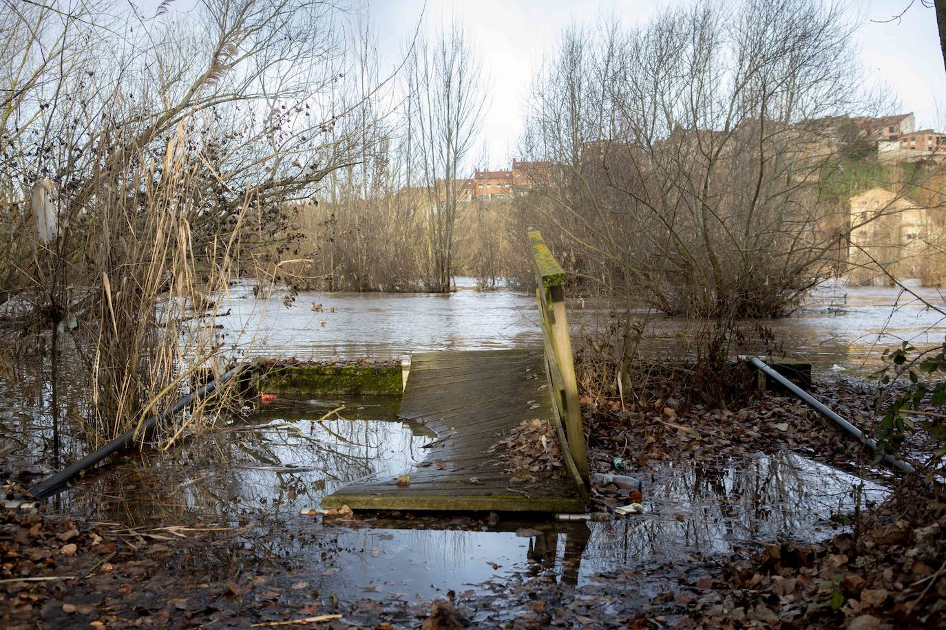 Fotos: Crecida del río Pisuerga en Valladolid y la provincia