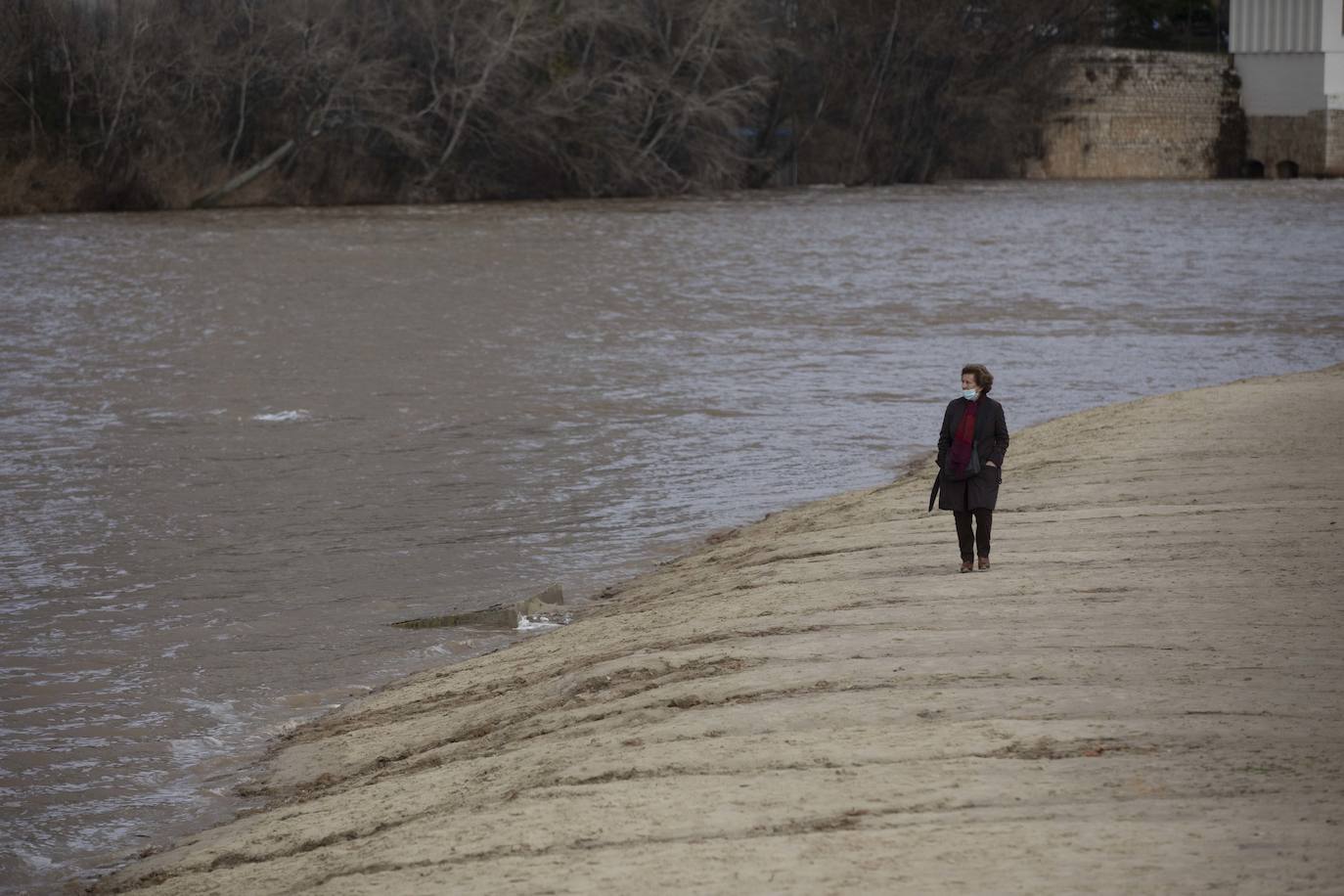 Fotos: Crecida del río Pisuerga en Valladolid y la provincia