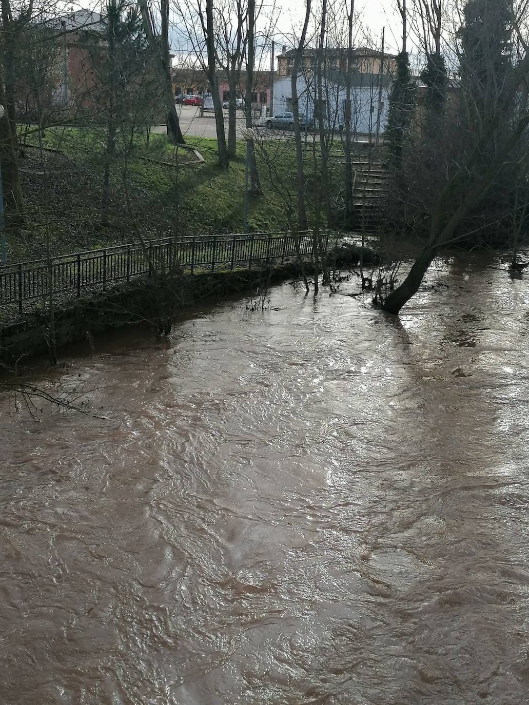 En alerta el cauce del Arlanza a su paso por Quintana del Puente