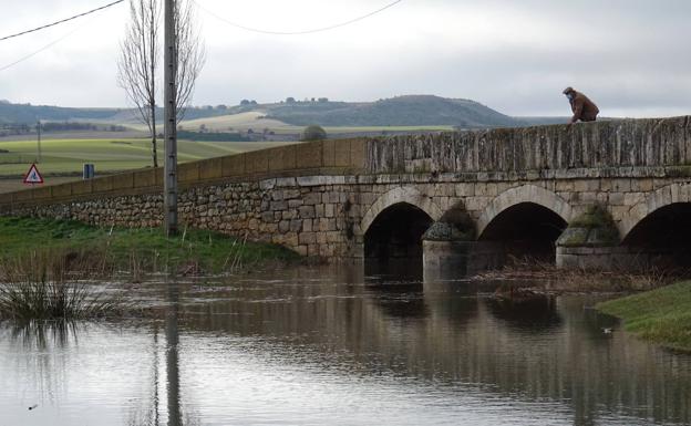 El río desbordado en Olmos de Esgueva.