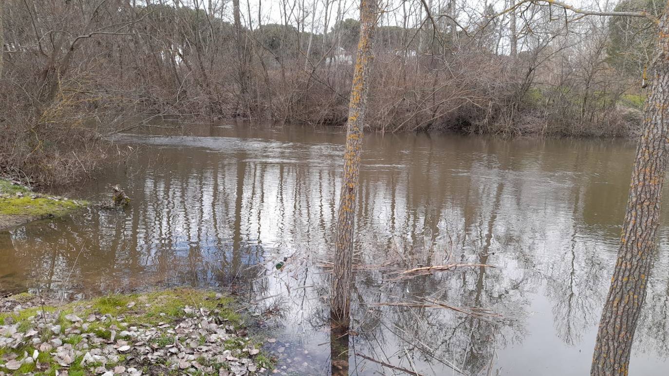 El Adaja, a su paso por Matapozuelos. 