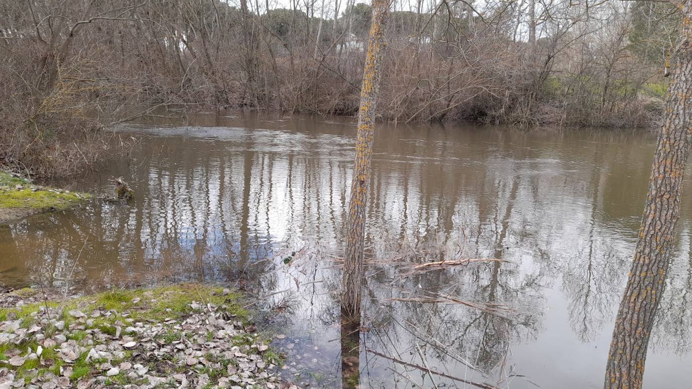 El Adaja, a su paso por Matapozuelos. 