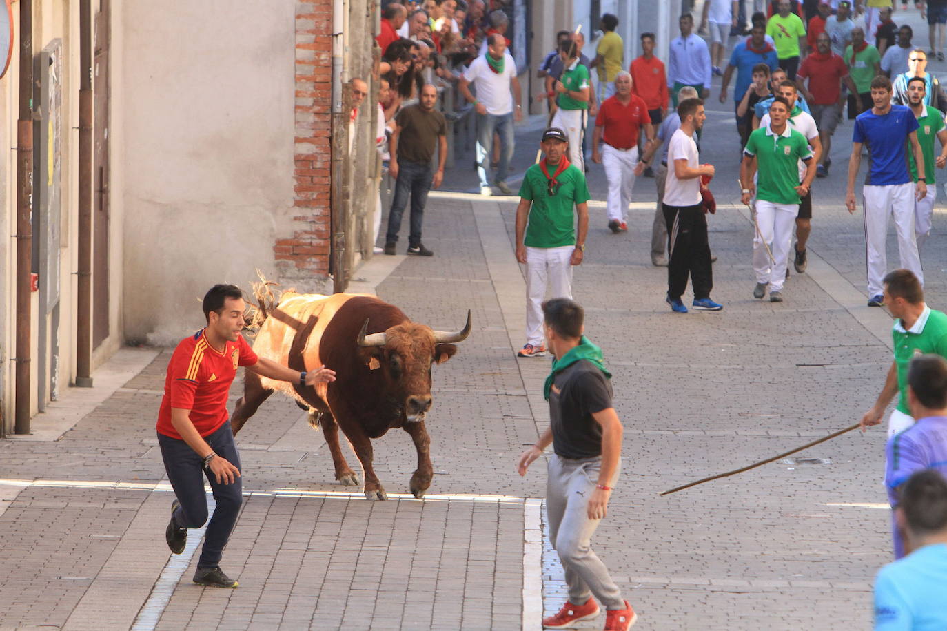 Uno de los últimos encierros celebrados en Cuéllar.