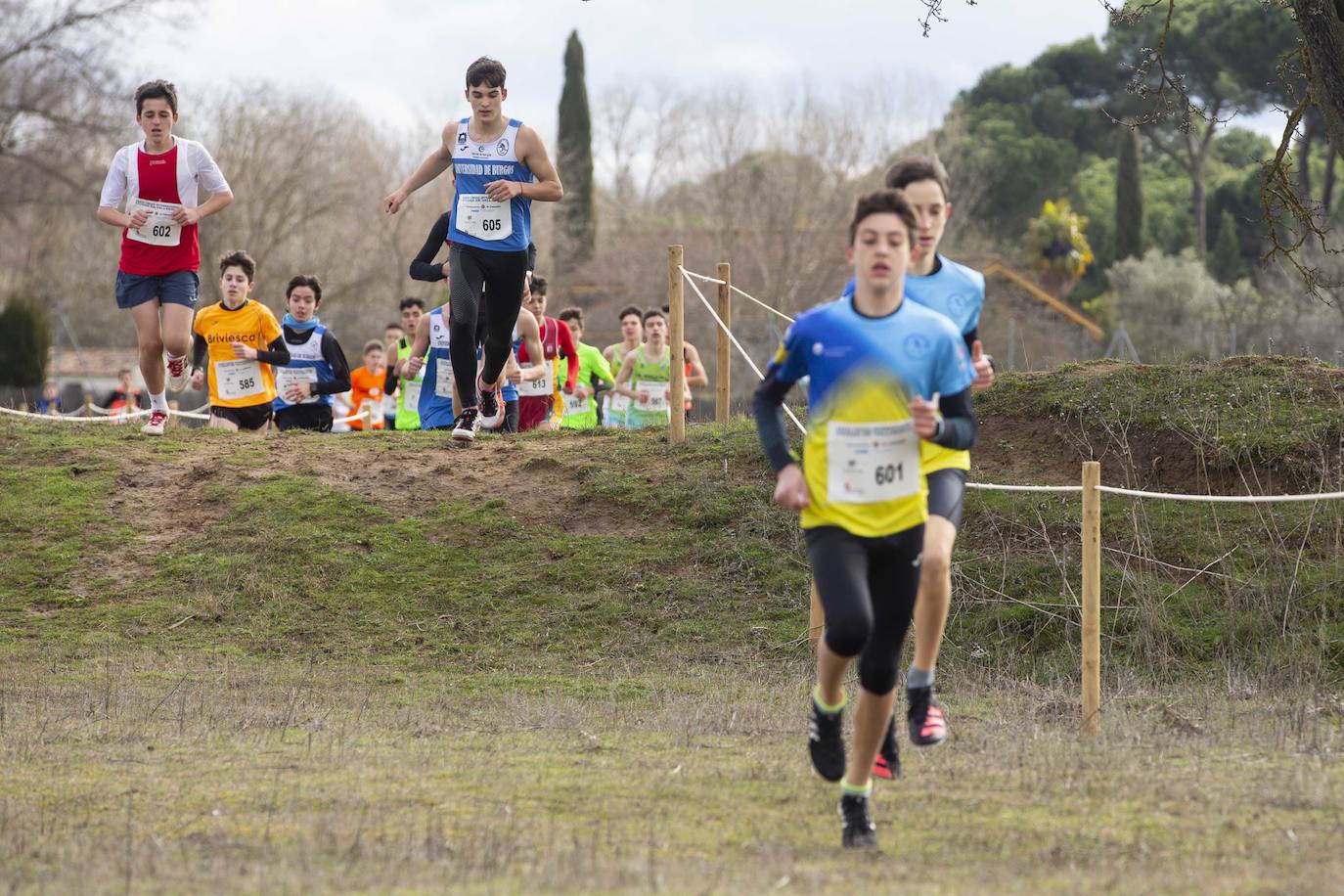 Fotos: Cross Ciudad de Valladolid