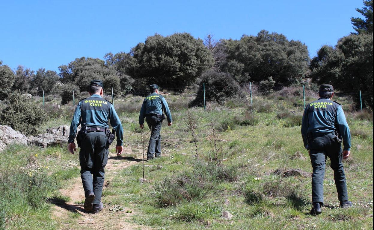 Los agentes, durante la investigación. 