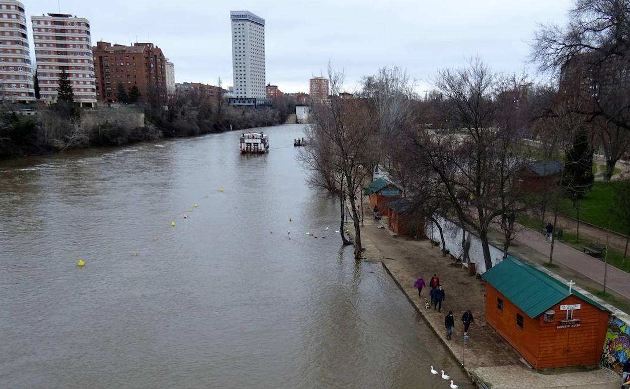 Crecida del Pisuerga a su paso por Valladolid capital el pasado 31 de enero. 