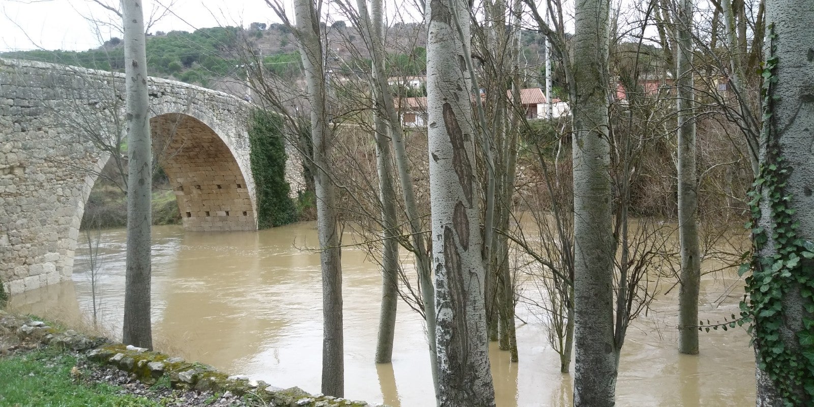 El río Cega a su paso por Megeces.