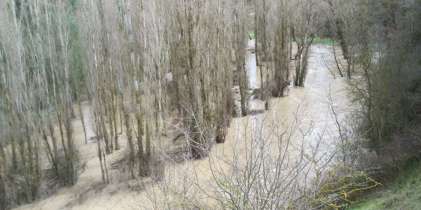 El río Pirón a su paso por el término de Íscar unos metros antes de entregar sus aguas al río Cega.