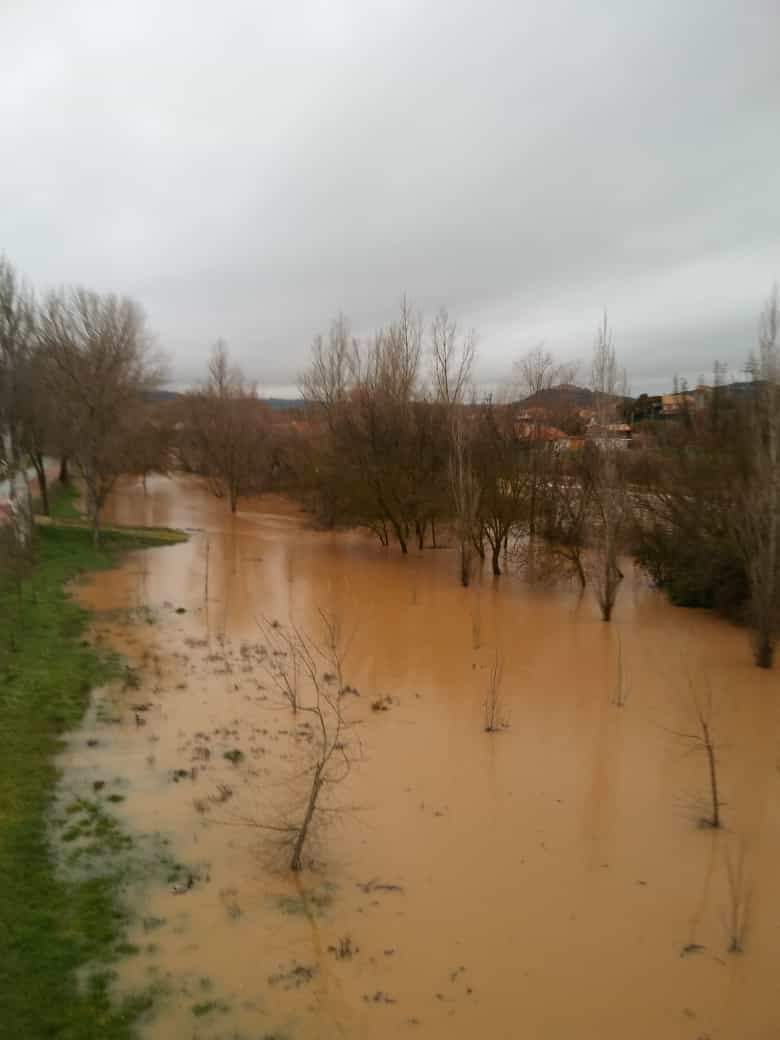 El Duero a su paso por Tudela de Duero. 