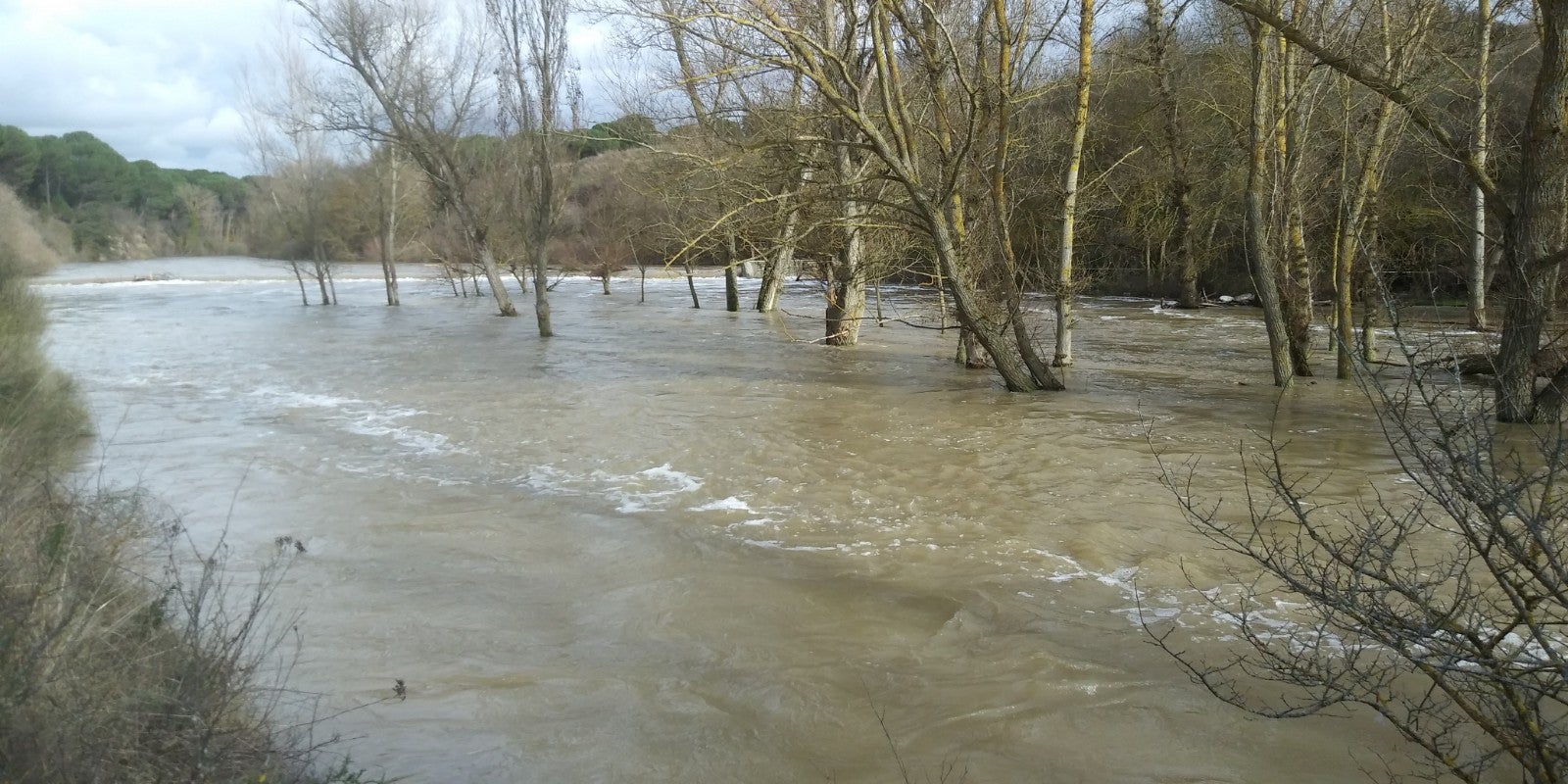 Río Eresma a su paso por el azud del molino nuevo de Valviadero entre Olmedo y Alcazarén.