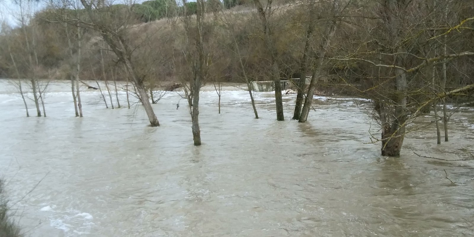 Río Eresma a su paso por el azud del molino nuevo de Valviadero entre Olmedo y Alcazarén.