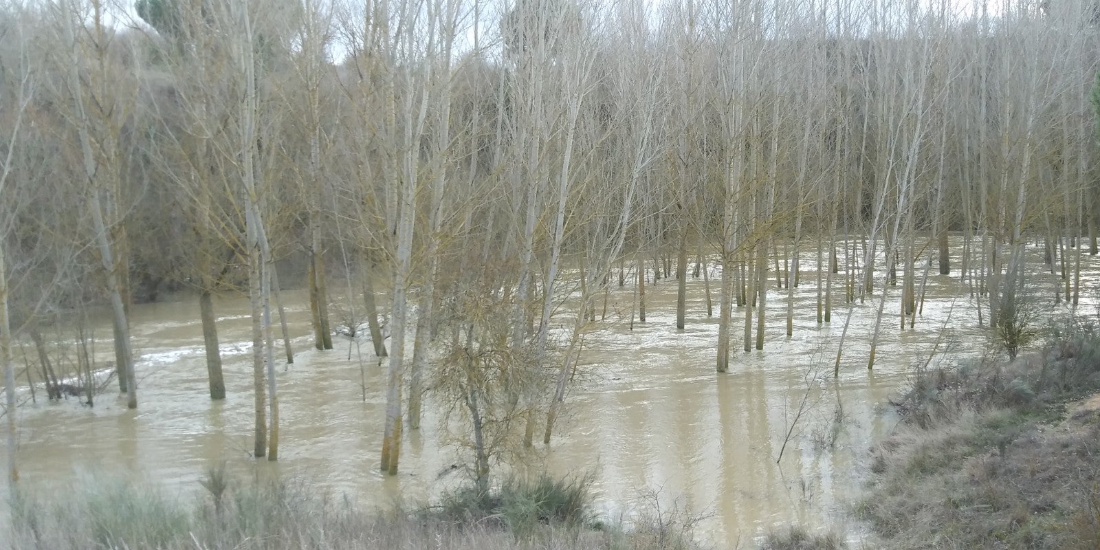 Río Eresma a su paso por el azud del molino nuevo de Valviadero entre Olmedo y Alcazarén.