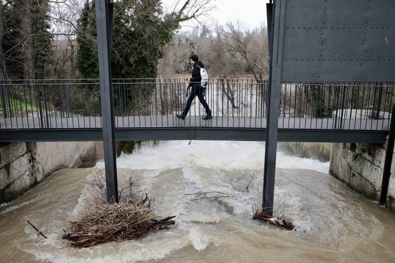 Fotos: Crecida del río Pisuerga a su paso por Valladolid