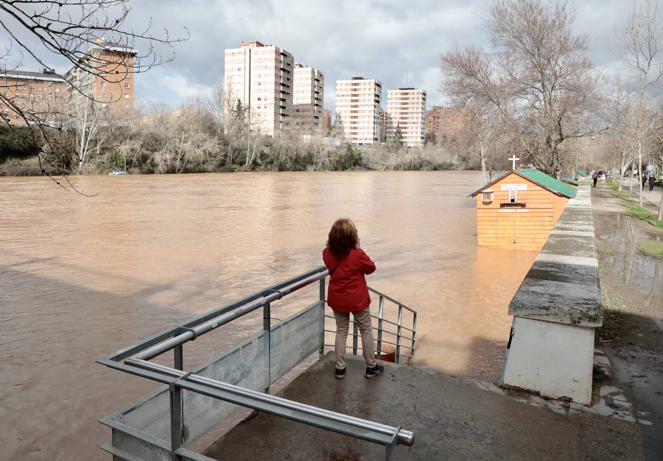 Fotos: Crecida del río Pisuerga a su paso por Valladolid