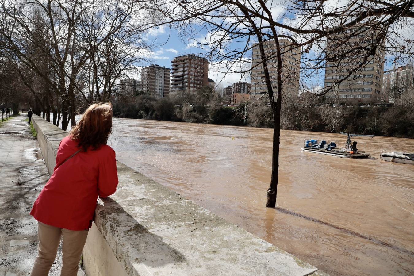 Fotos: Crecida del río Pisuerga a su paso por Valladolid