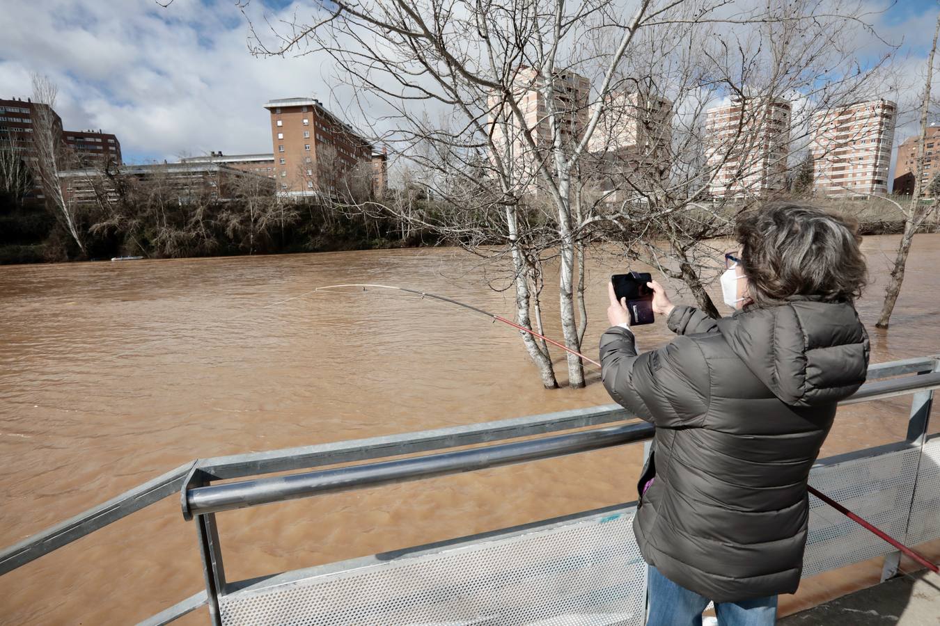 Fotos: Crecida del río Pisuerga a su paso por Valladolid
