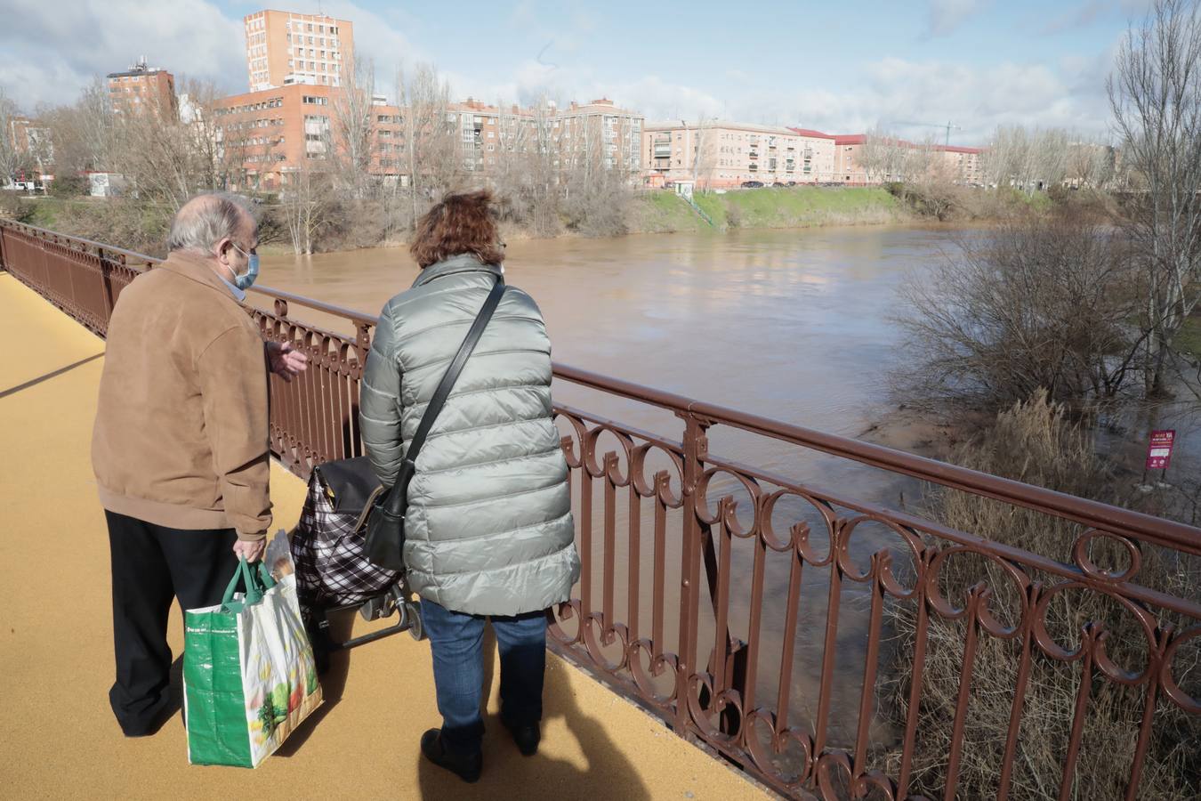 Fotos: Crecida del río Pisuerga a su paso por Valladolid