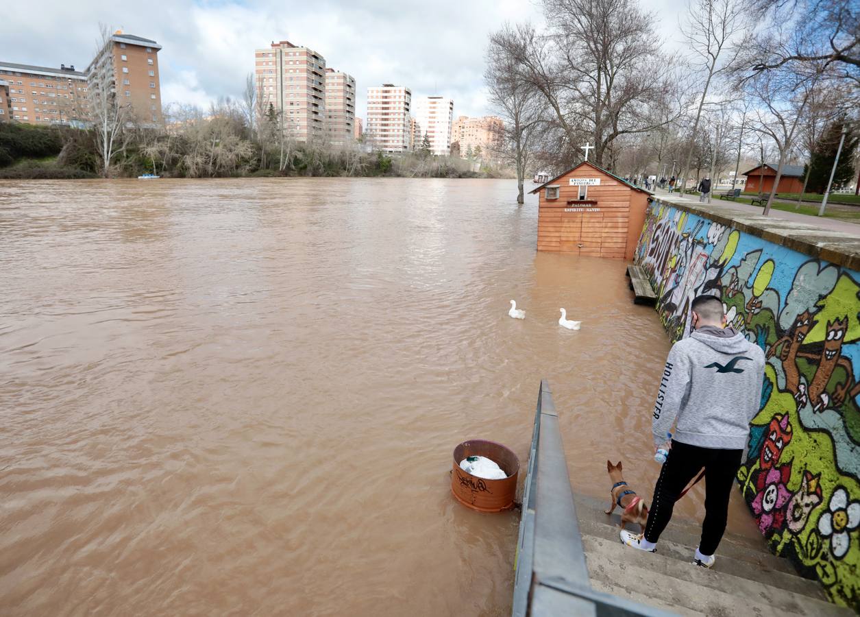 Fotos: Crecida del río Pisuerga a su paso por Valladolid