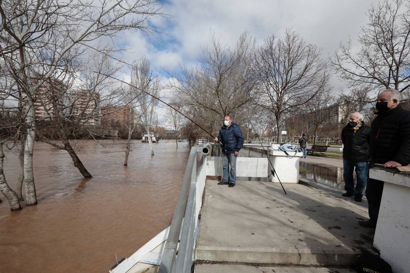 Fotos: Crecida del río Pisuerga a su paso por Valladolid