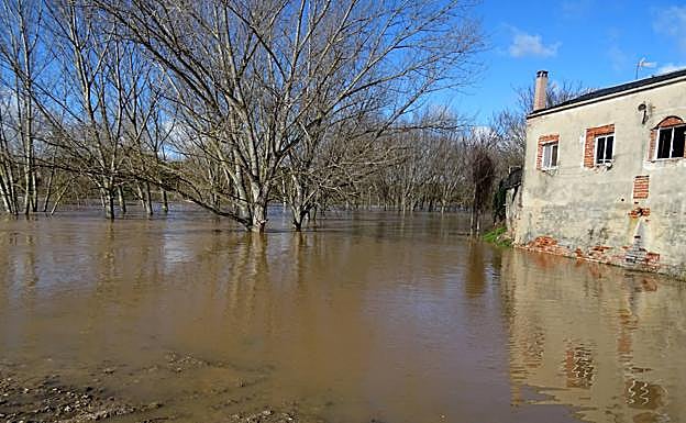 El Duero ha alcanzado hoy las viviendas situadas junto al cauce en Puente Duero.