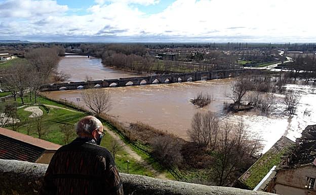Un vecino obsera el Pisuerga a su paso por el puente de Simancas.