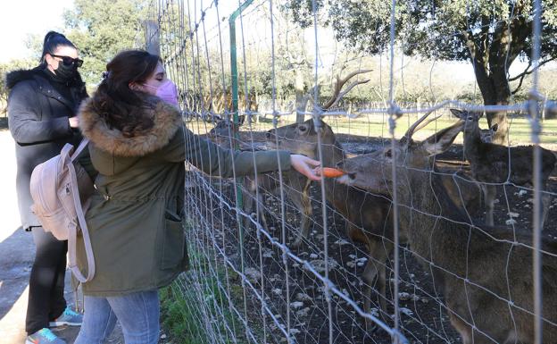 Unas jóvenes alimentan a los animales.