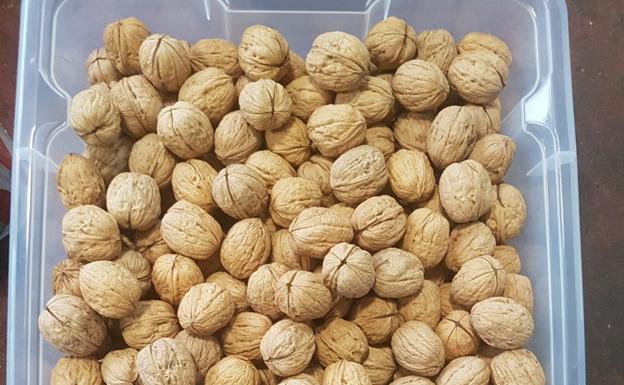 Nueces de la Ribera del Duero (NRD). 