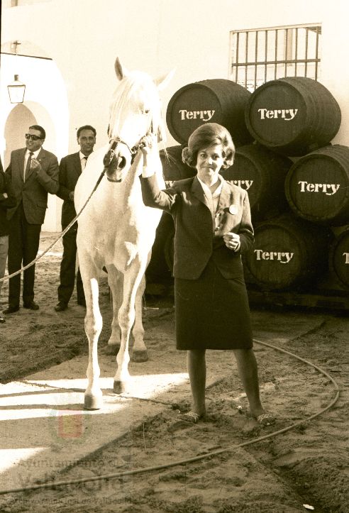 Fotos: Así era la Feria de Muestras de Valladolid en 1965