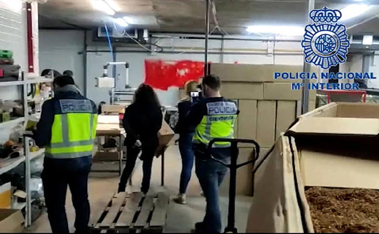 Policías y funcionarios registran el interior de la planta de producción de tabaco desmantelada.