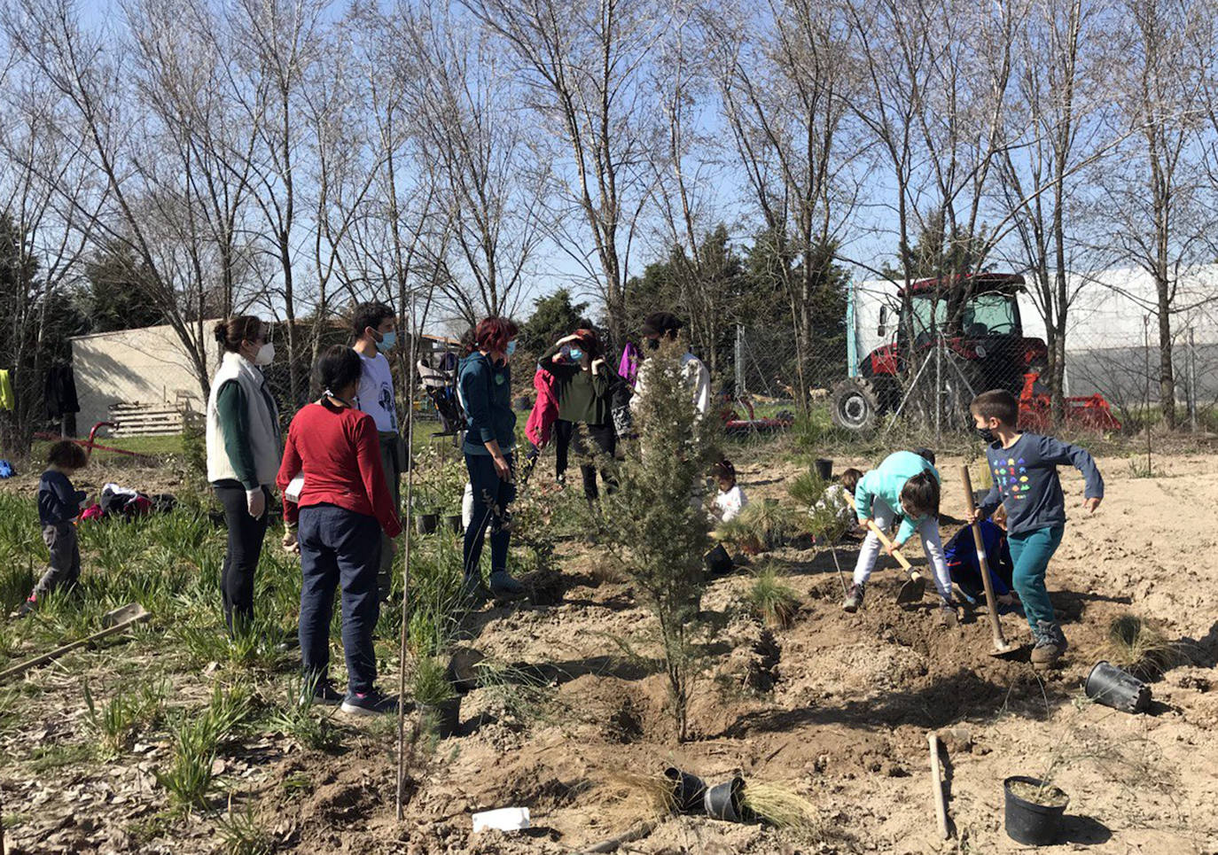 Plantación de árboles el pasado domingo en Navas de Oro.