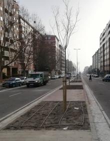 Imagen secundaria 2 - Pavimento táctil colocado en los pasos de peatones. Debajo, árboles plantados en las medianas de Manuel Azaña y Hernando de Acuña (derecha).