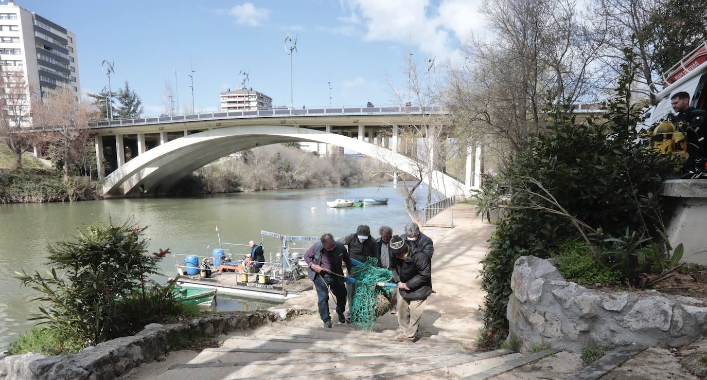 Fotos: Rescatan del Pisuerga dos bolas del murete del Espolón viejo