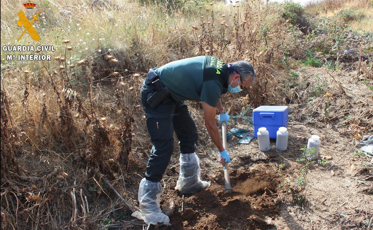 Un agente durante la investigación sobre el terreno. 