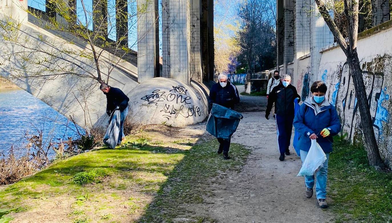 Fotos: Batida de limpieza en al ribera del Pisuerga a su paso por Valladolid