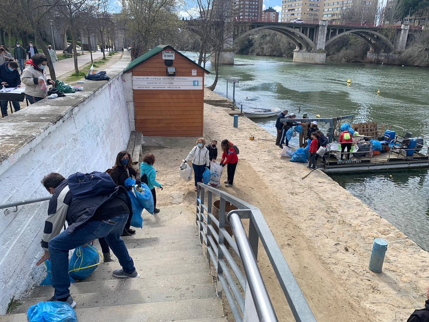 Fotos: Batida de limpieza en al ribera del Pisuerga a su paso por Valladolid