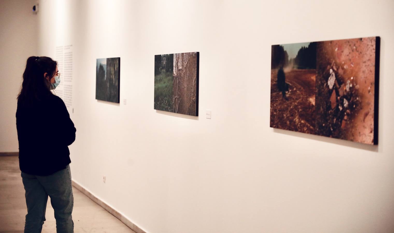 Fotos: Exposición &#039;Stalker in the Land&#039; de José María Marbán en el Museo Patio Herreriano de Valladolid