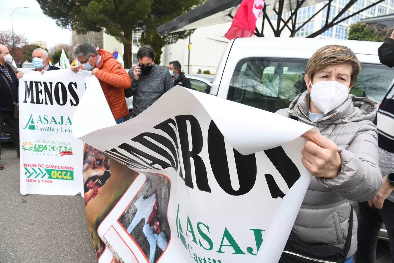 Fotos: Protesta de ganaderos en Valladolid en contra de la sobreprotección del lobo