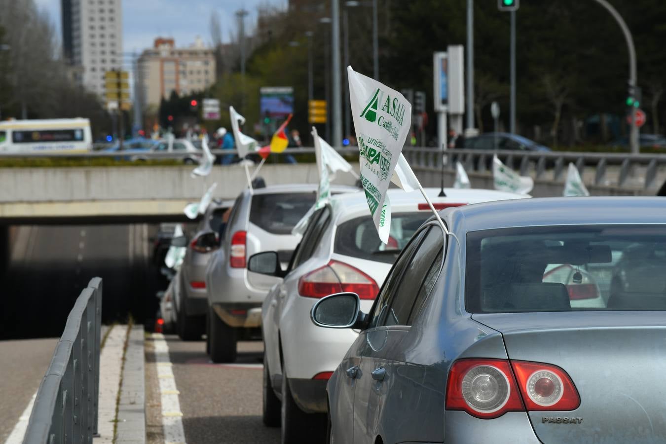 Fotos: Protesta de ganaderos en Valladolid en contra de la sobreprotección del lobo
