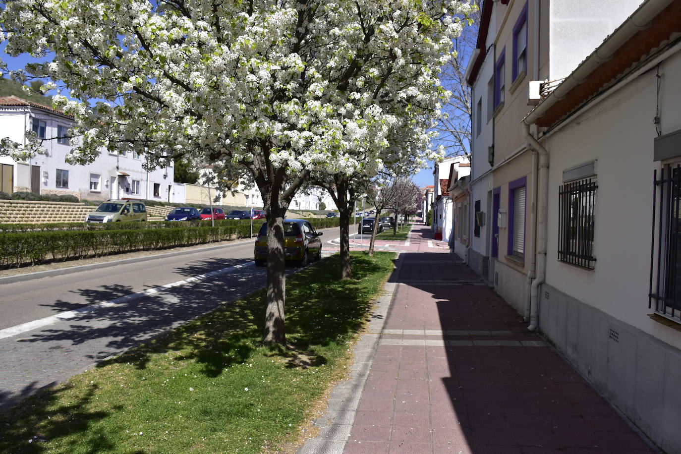 Fotos: La otra mirada de Valladolid - Barrio Girón
