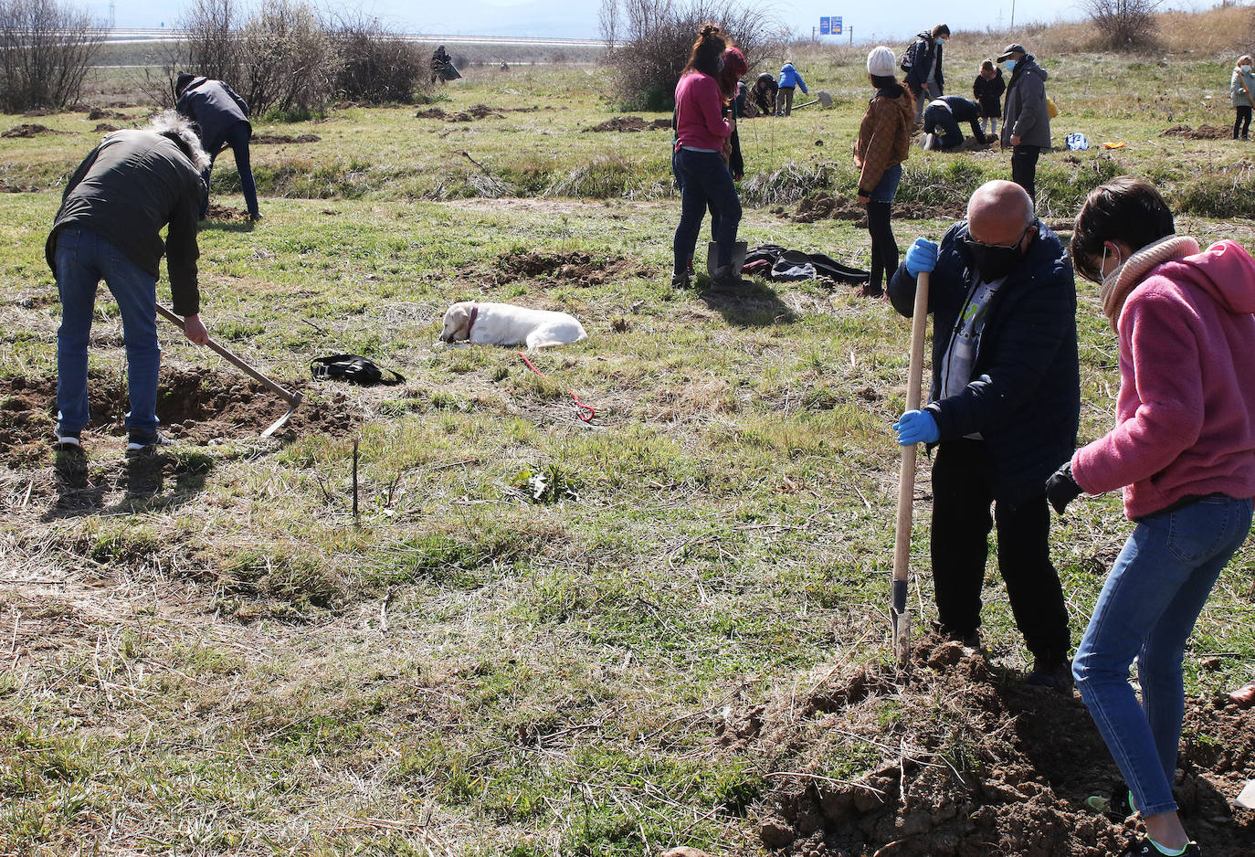 Plantación de árboles en Nueva Segovia 