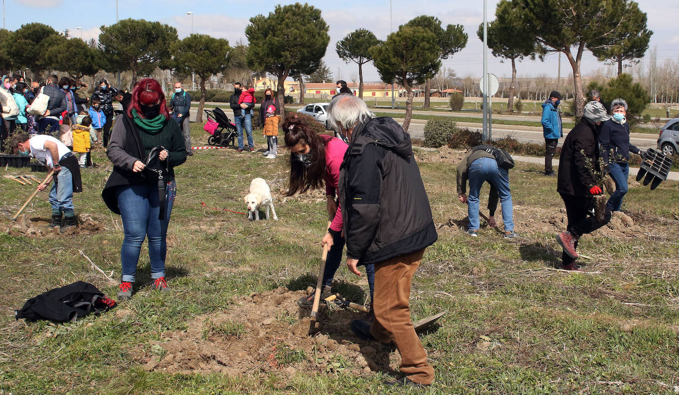 Plantación de árboles en Nueva Segovia 