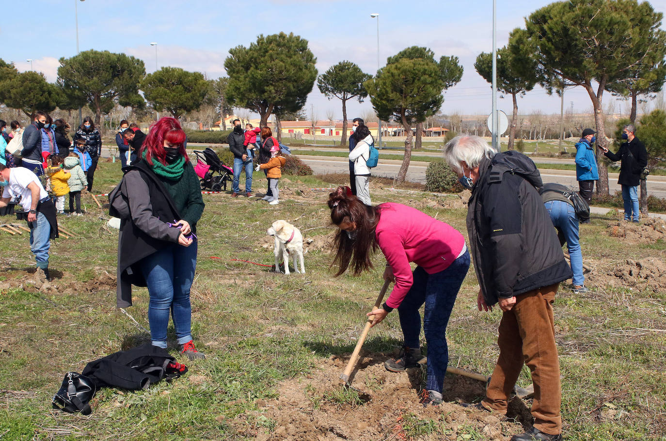 Plantación de árboles en Nueva Segovia 