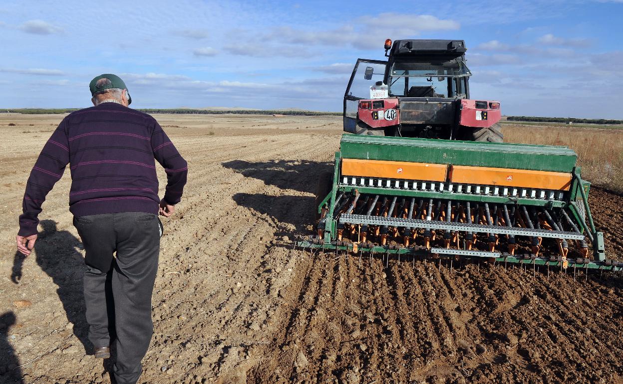 Un agricultor inicia la siembra en una tierra de cultivo. 