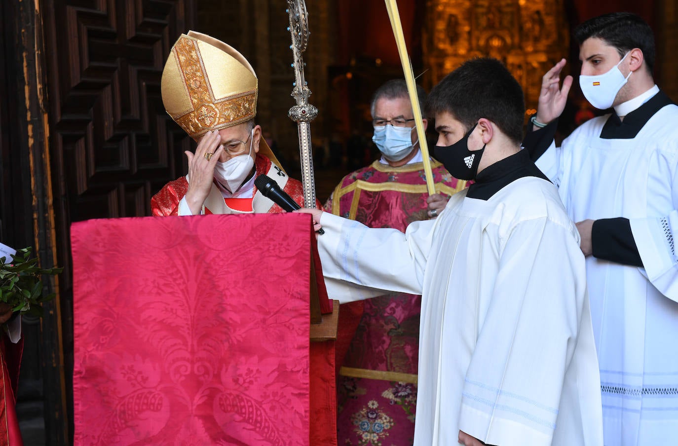 Fotos: Domingo de Ramos en Valladolid
