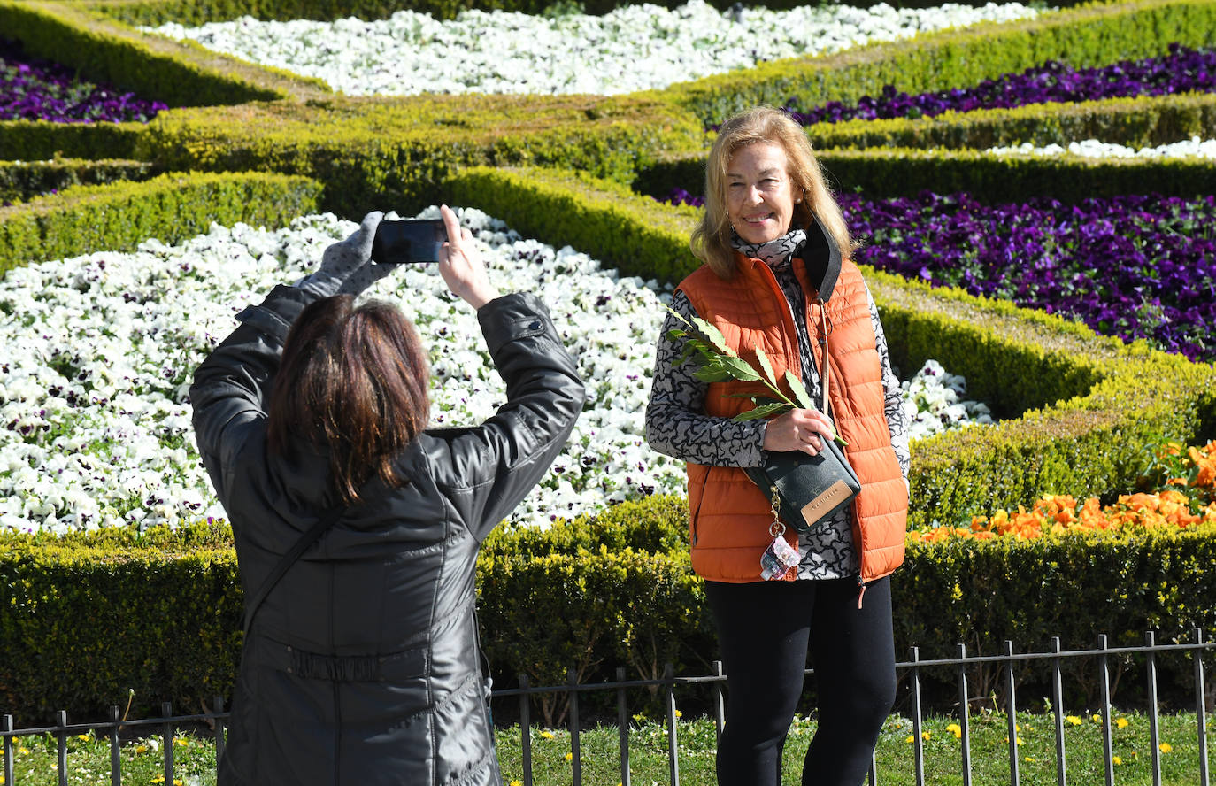 Fotos: Domingo de Ramos en Valladolid