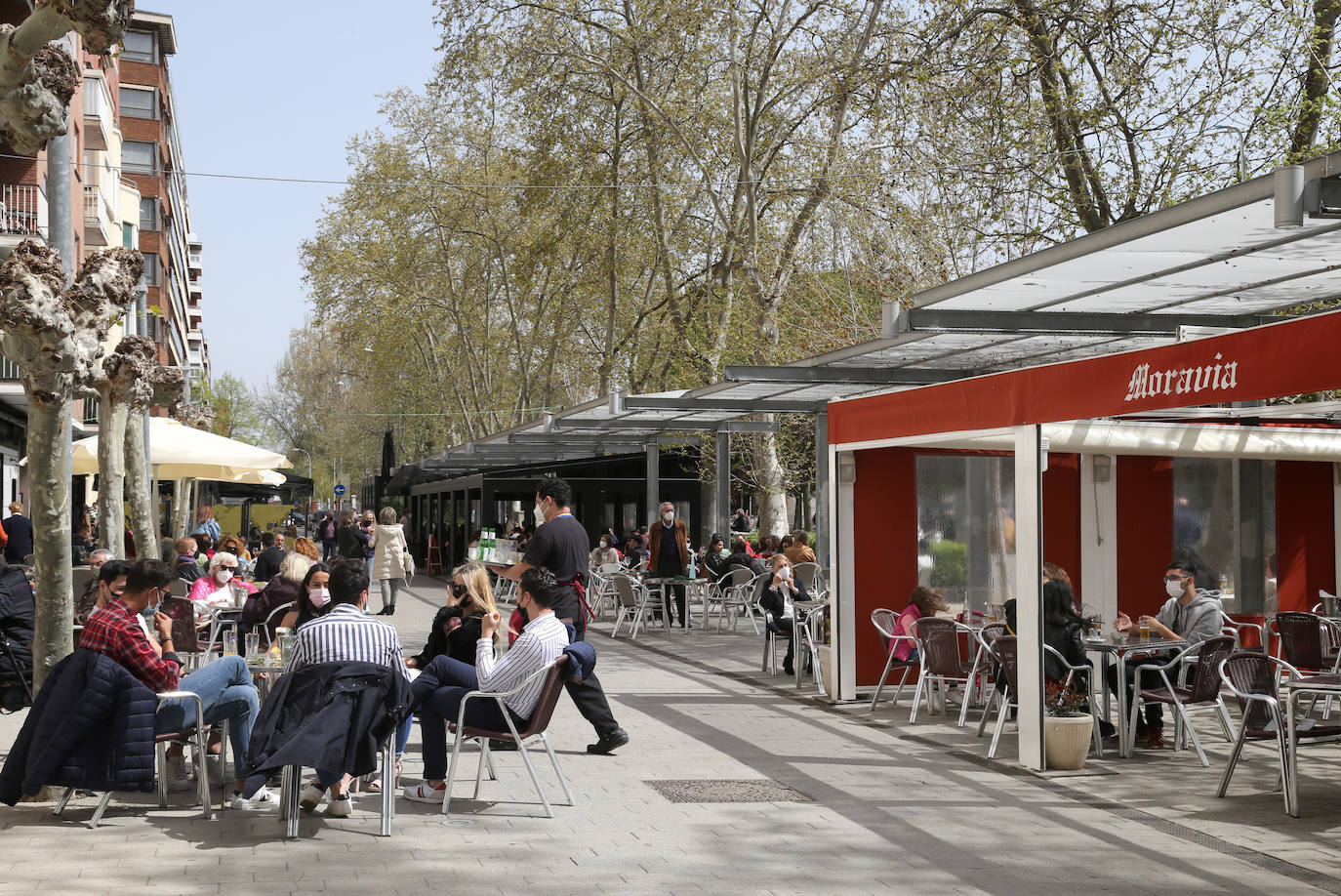 Fotos: Las terrazas, un imprescindible para bares y restaurantes en Palencia