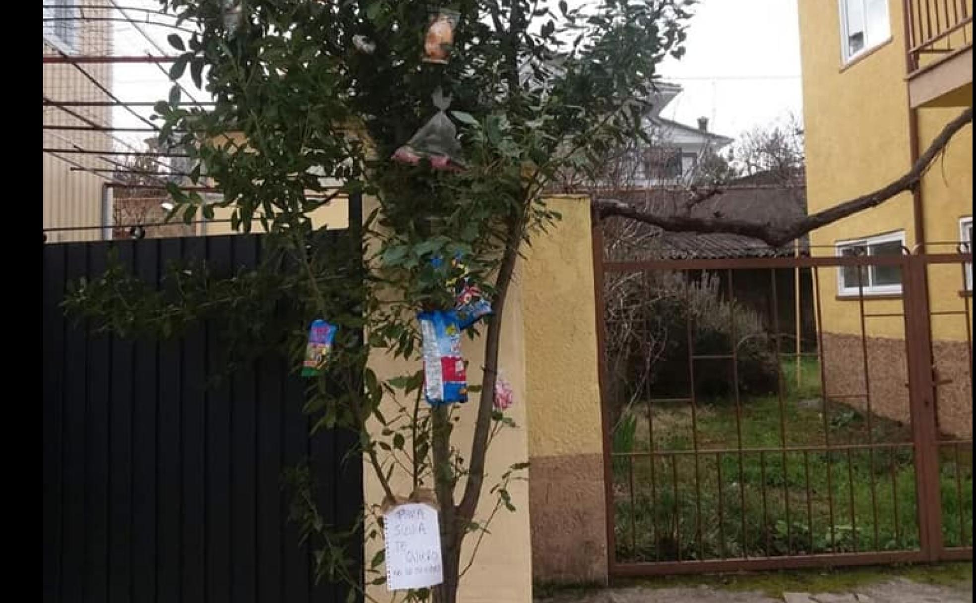 Uno de los ramos colocado ayer en una vivienda de Cepeda. 